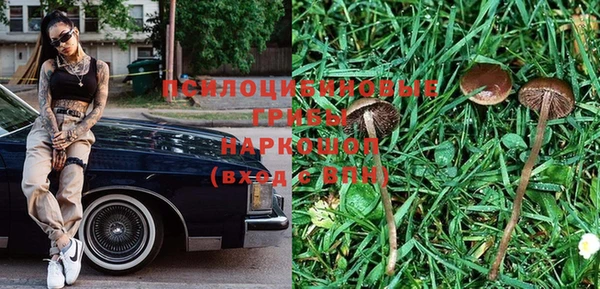 ПСИЛОЦИБИНОВЫЕ ГРИБЫ Ростов