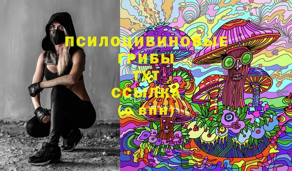 стаф Володарск