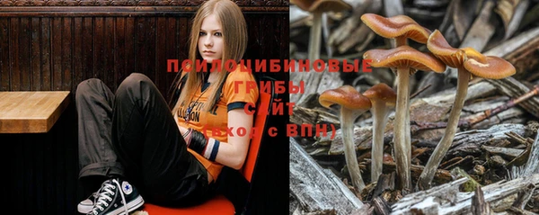 ALPHA PVP Волоколамск