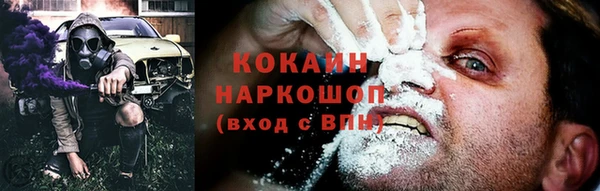 стаф Володарск