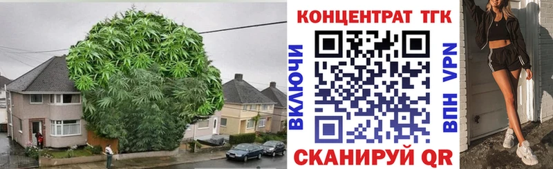 Купить закладки  Новочеркасск  ТГК гашишное масло 